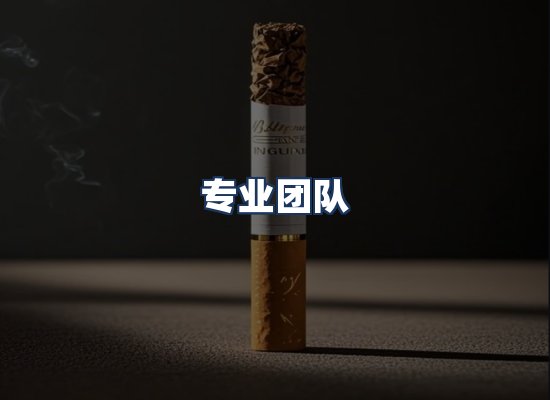 专业团队